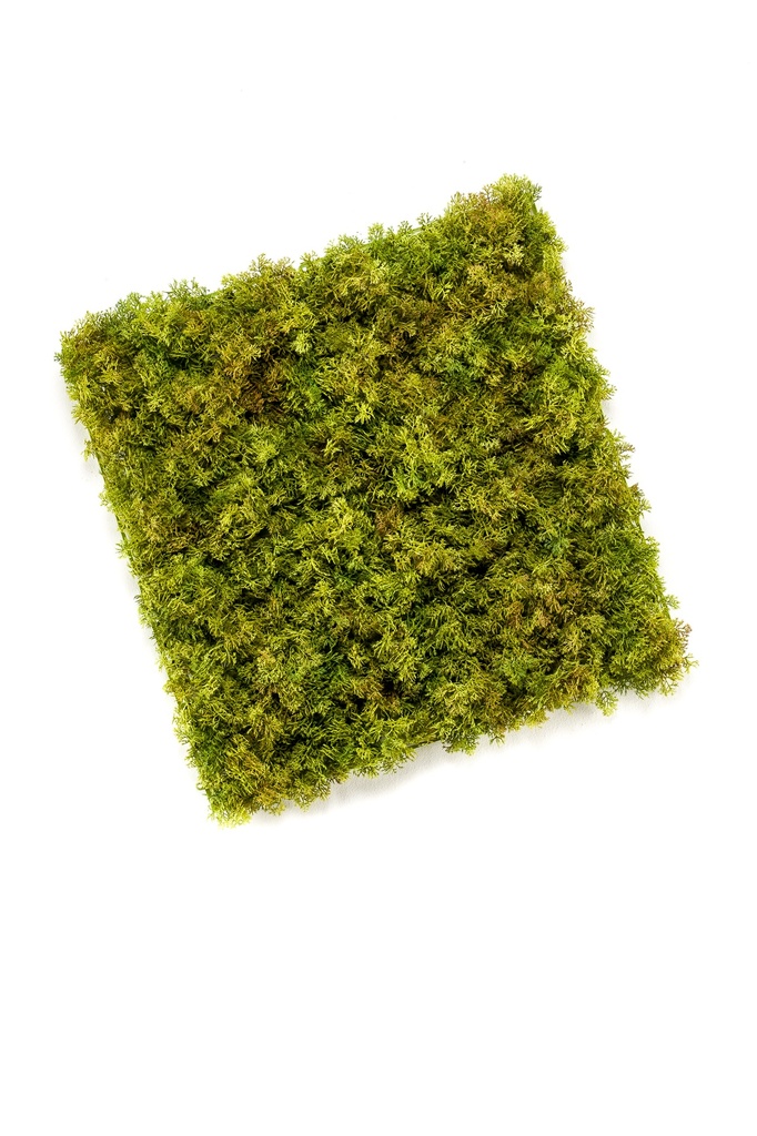 Mousse d'Islande en plaque résistant UV artificielle