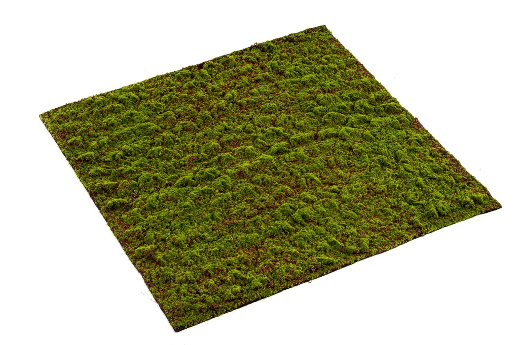 Mousse Grimmia en plaque artificielle