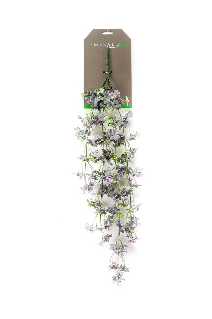 Oxalis retombant artificiel