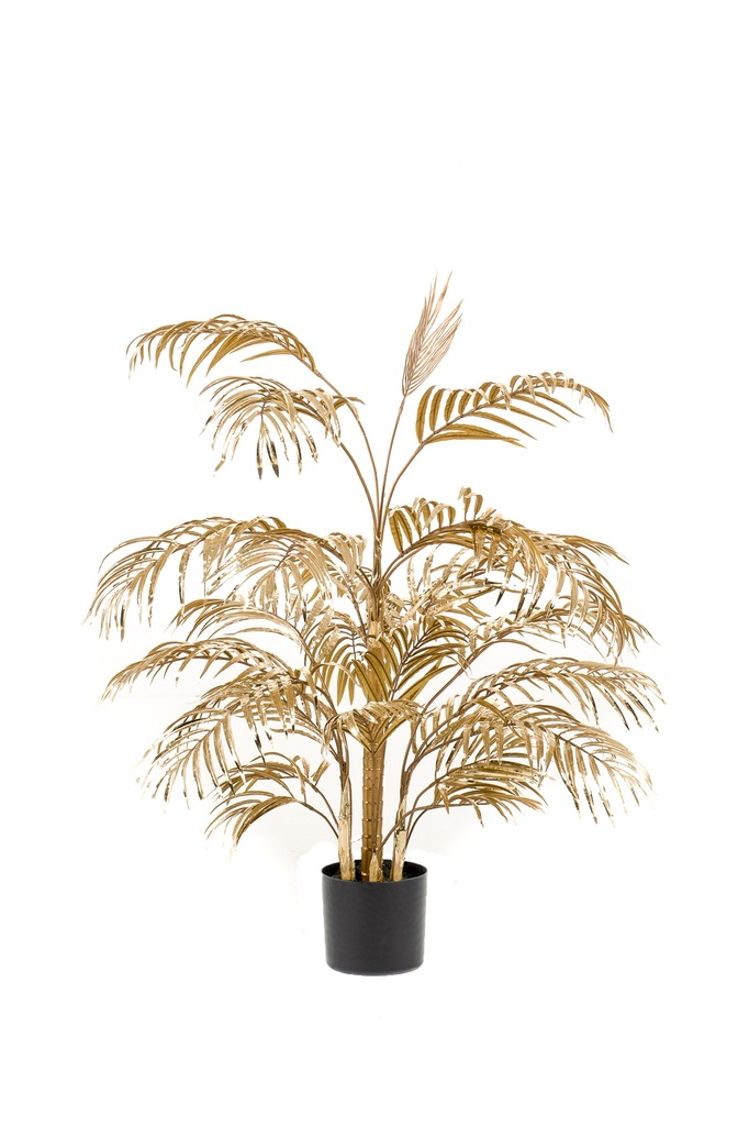Palmier Areca or artificel