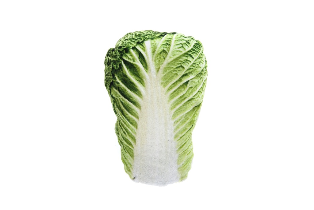 Jouet chat Laitue Matatabi