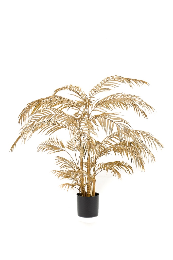 Palmier Areca or artificel