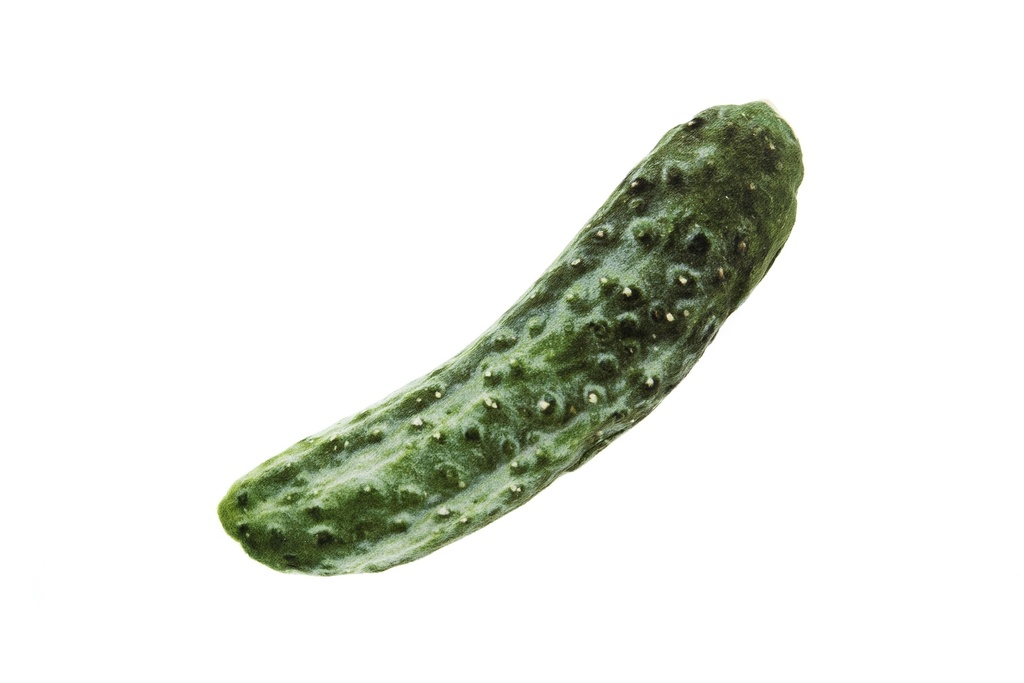 Jouet chat Concombre Matatabi