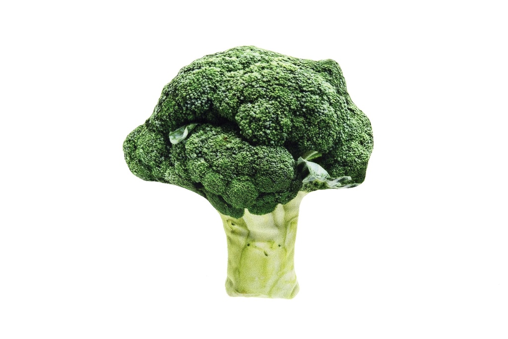 Jouet chat Brocoli Matatabi