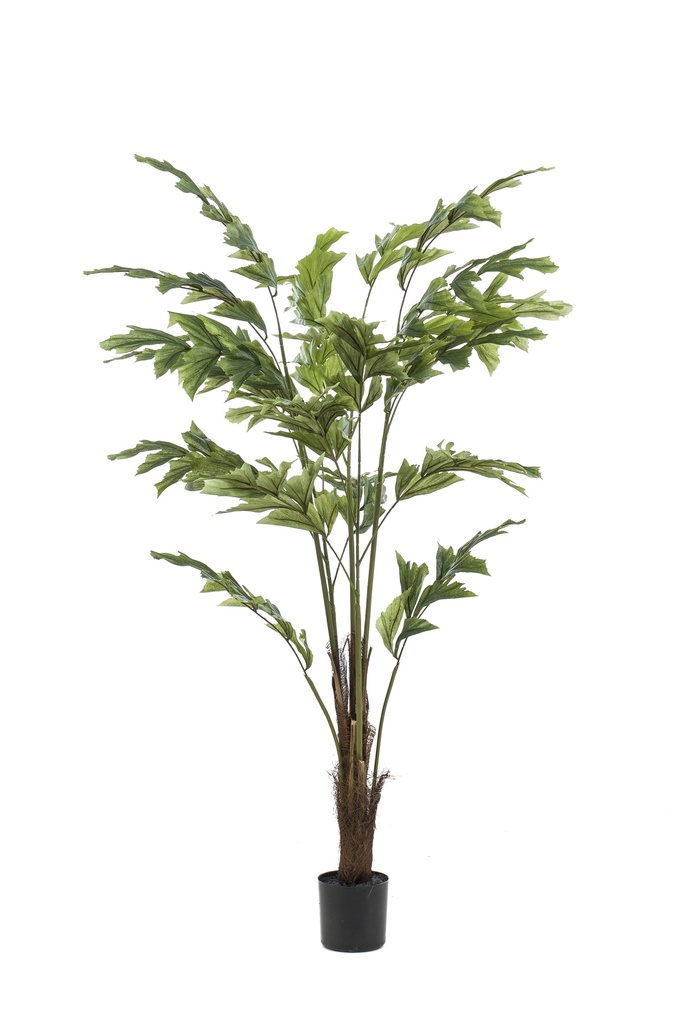 Palmier Caryota artificiel
