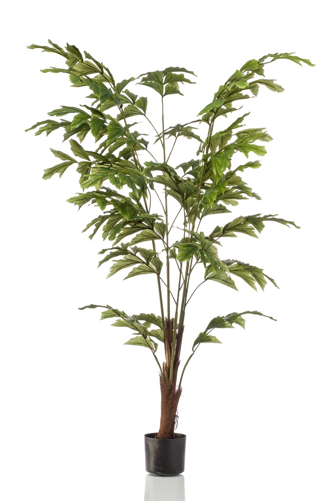 Palmier Caryota artificiel