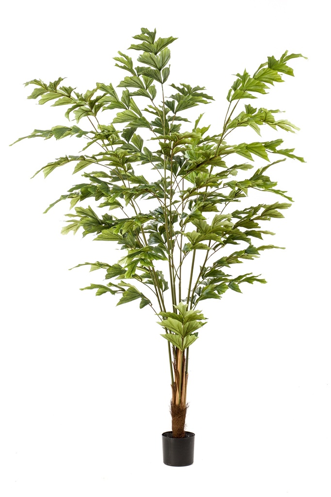 Palmier Caryota artificiel