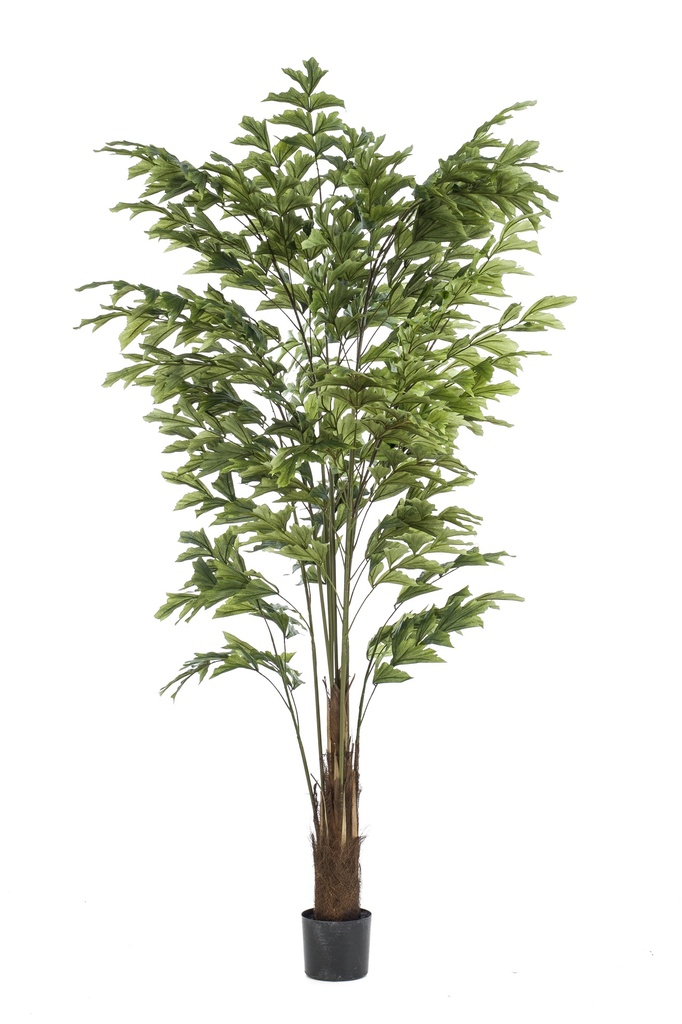 Palmier Caryota artificiel