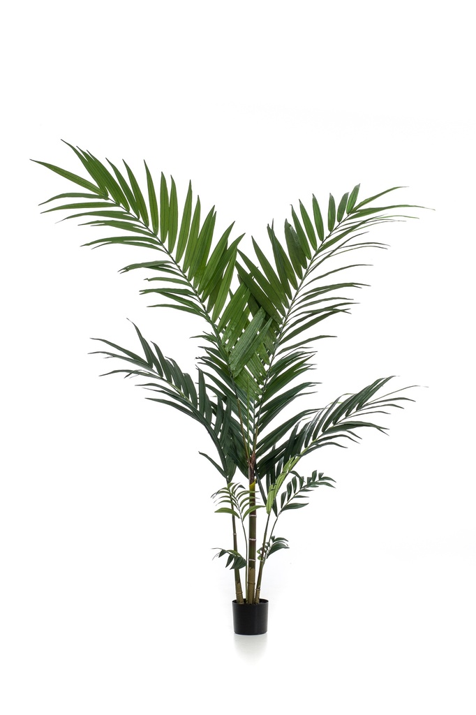 Palmier Kentia artificiel