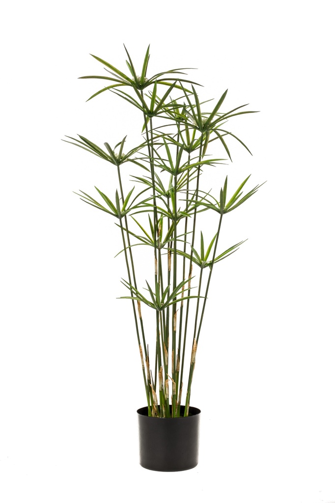 Papyrus artificiel