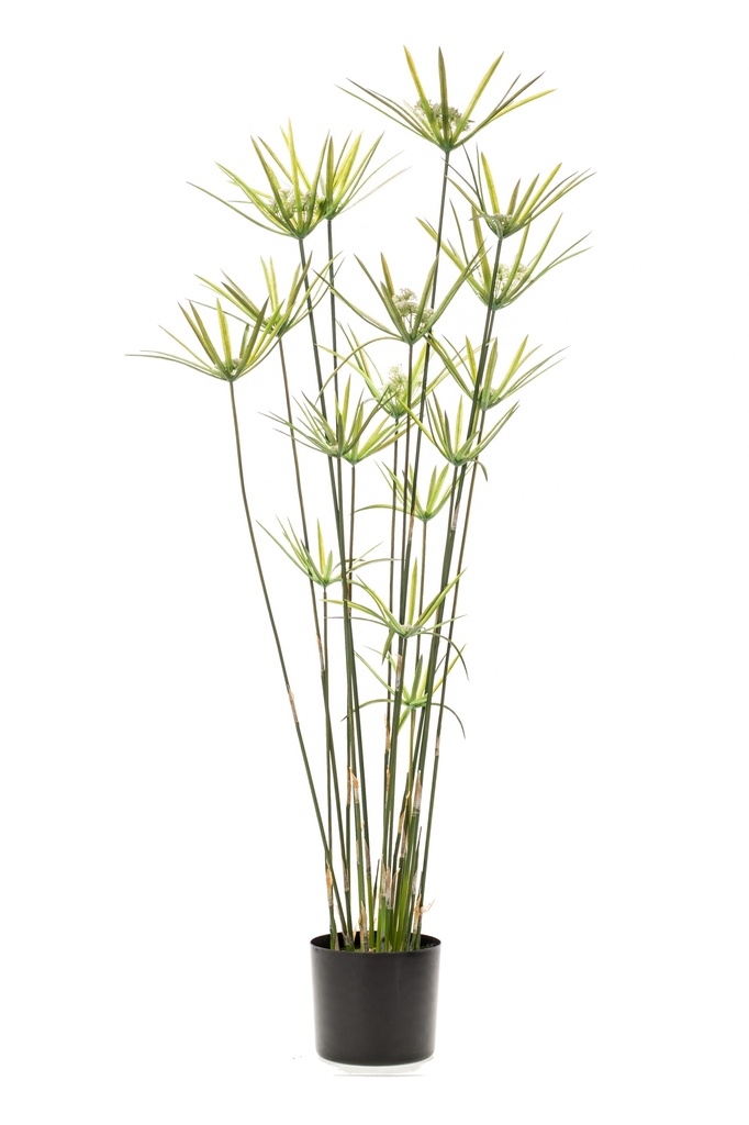Papyrus artificiel