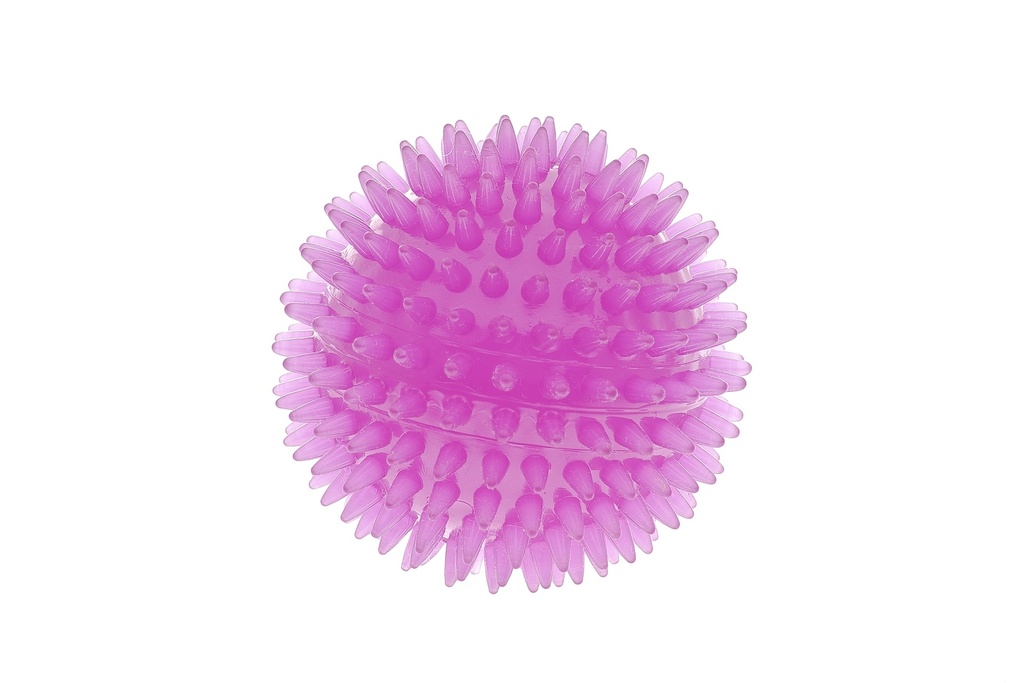 Jouet chien Super balle S