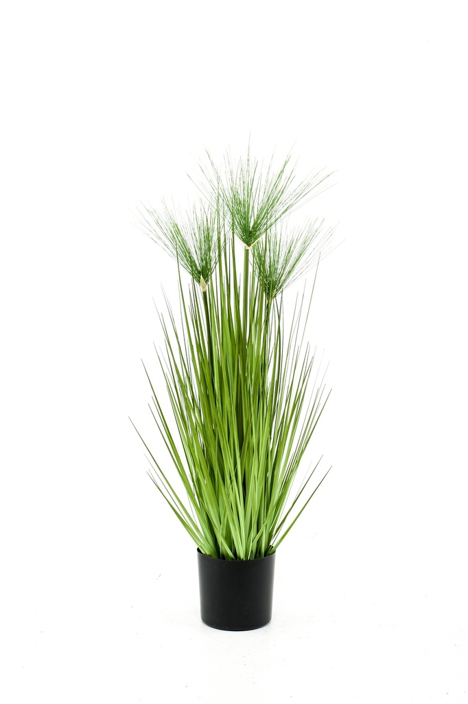Papyrus haspan artificiel