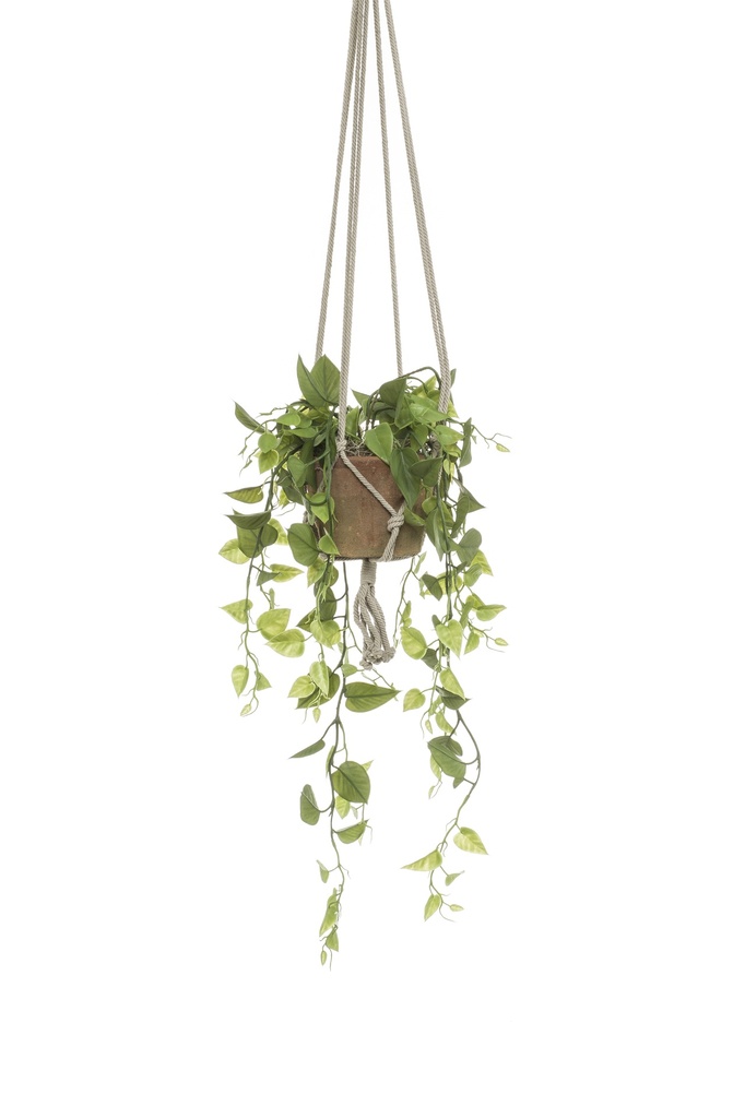 Philodendron à suspendre artificiel