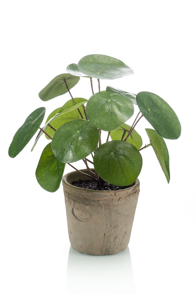Pilea en pot antique artificiel