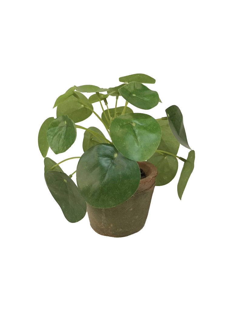 Pilea en pot antique artificiel