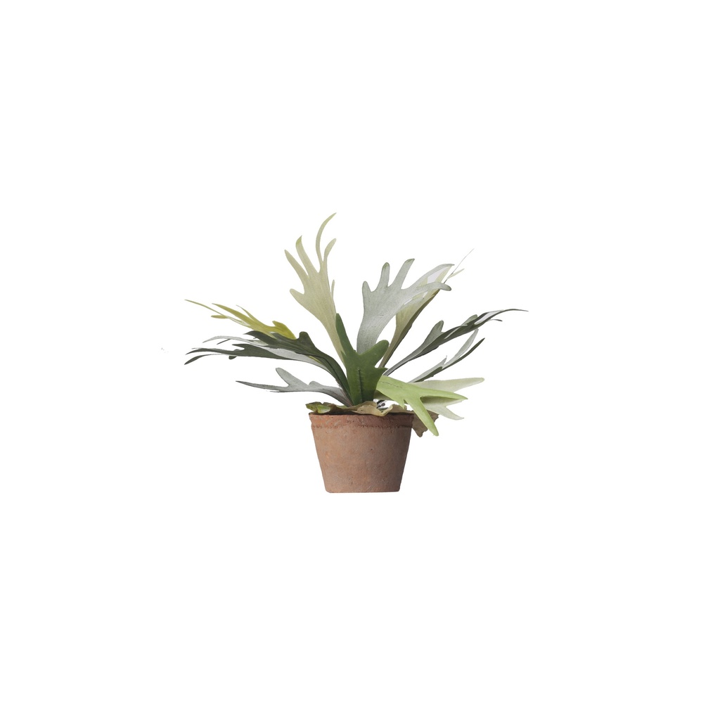 Platycerium artificiel