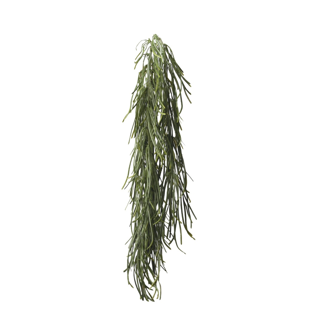 Rhipsalis retombant artificiel