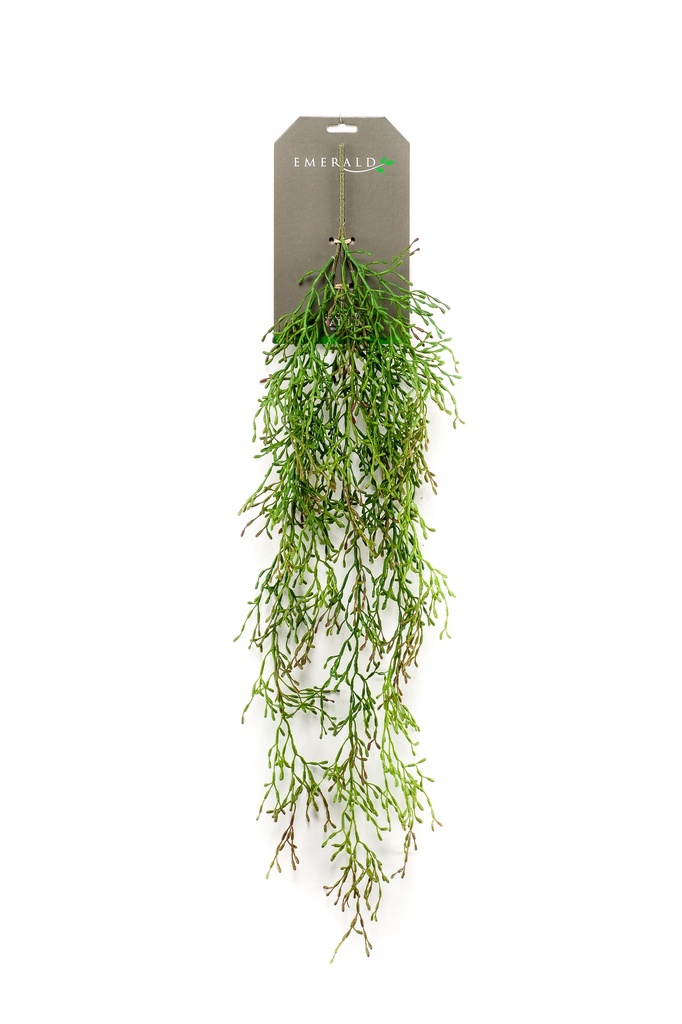 Rhipsalis retombant artificiel