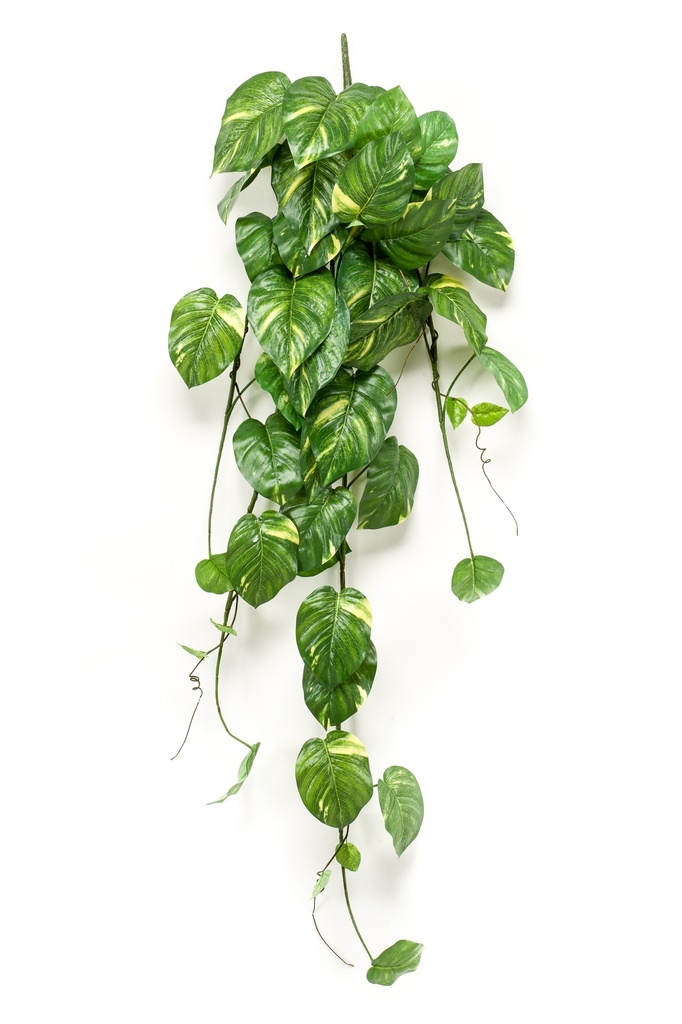 Scindapsus retombant artificiel