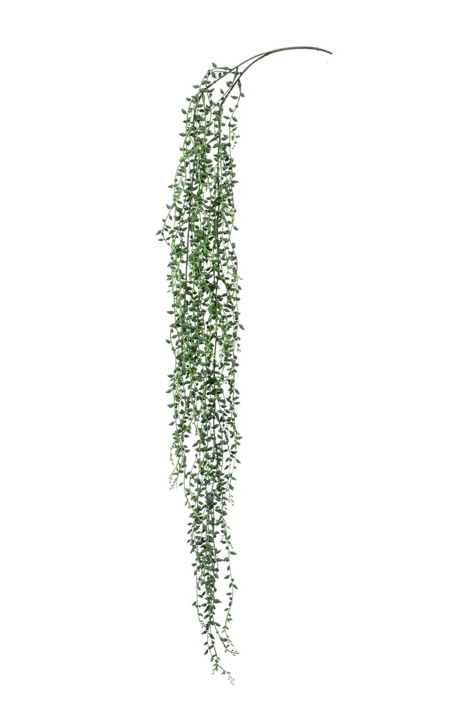 Senecio retombant artificiel
