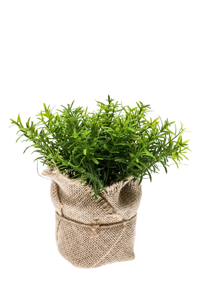 Thym artificiel