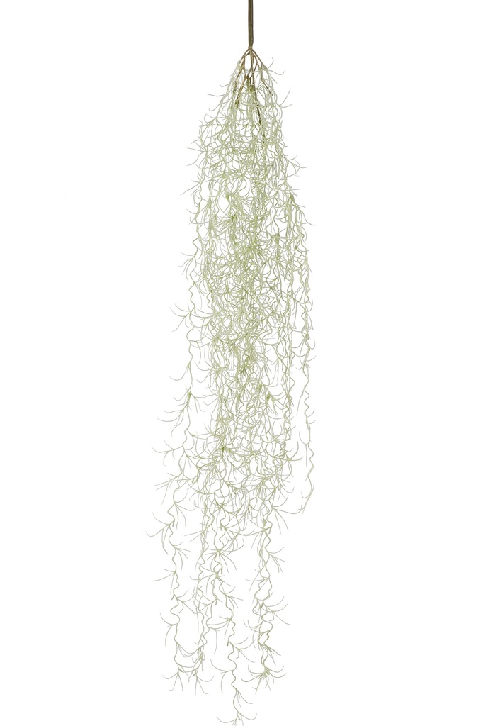 Tillandsia à susendre artificiel