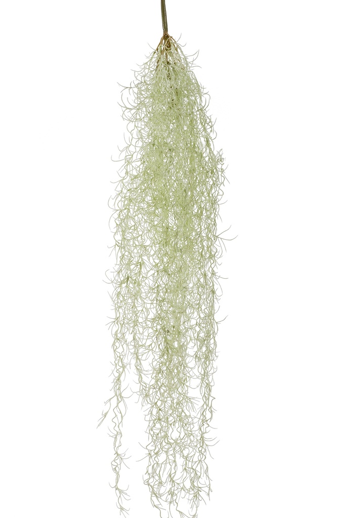 Tillandsia à susendre artificiel