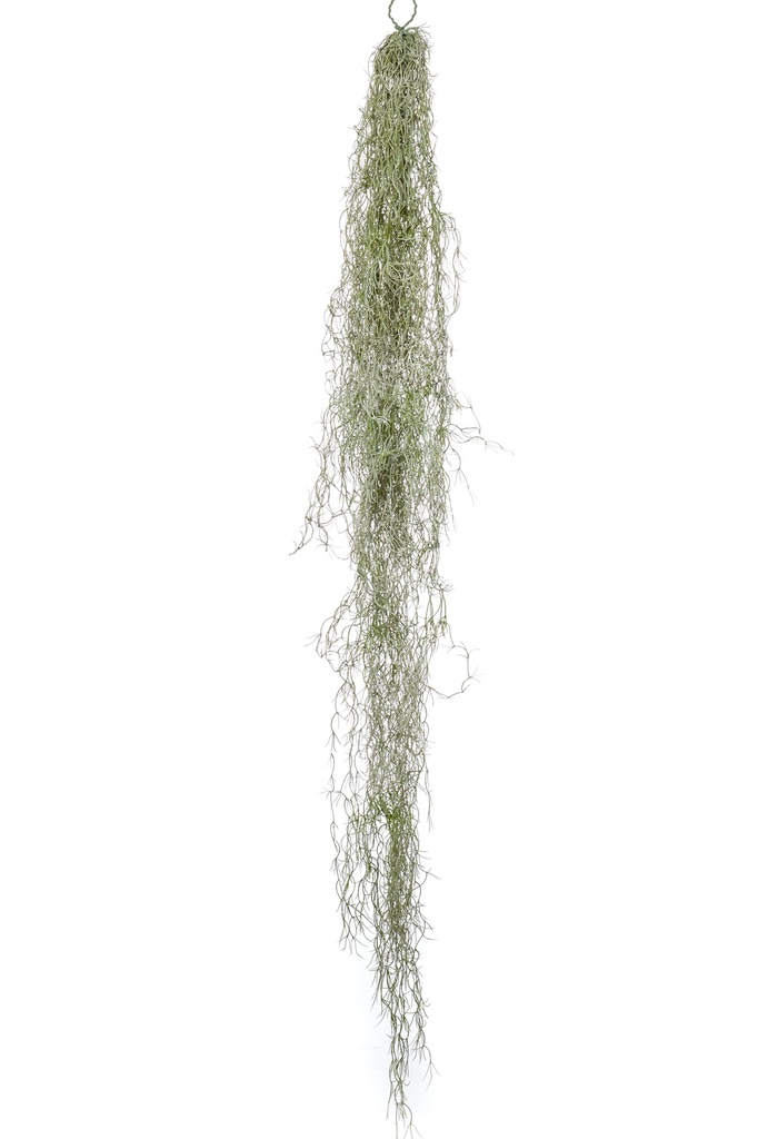Tillandsia retombant artificiel