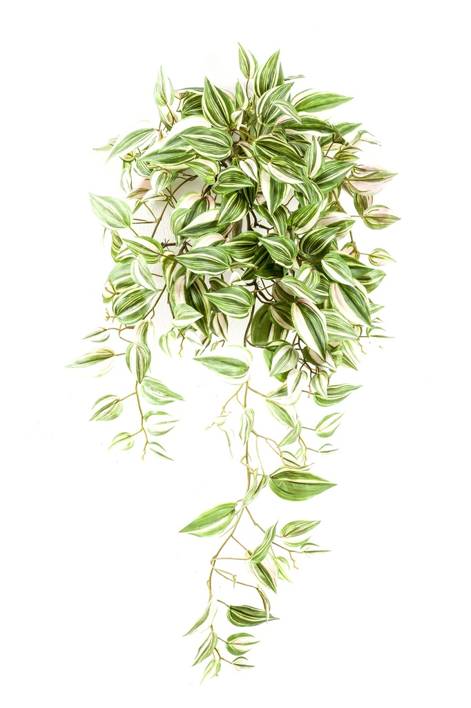Tradescantia vert artificiel