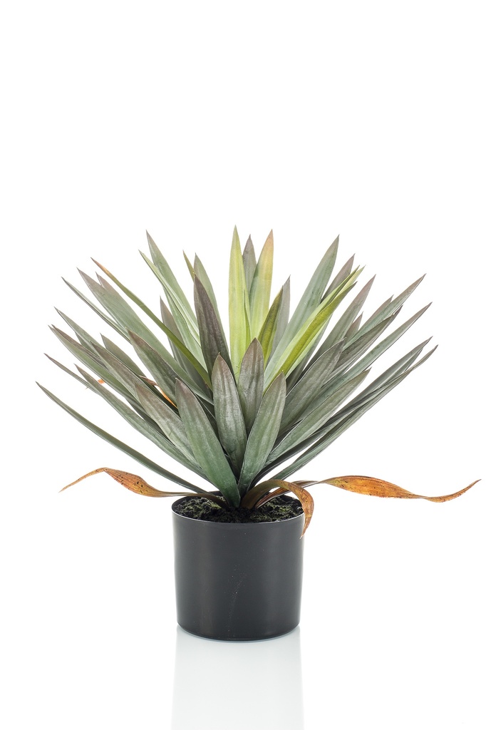 Yucca artificiel