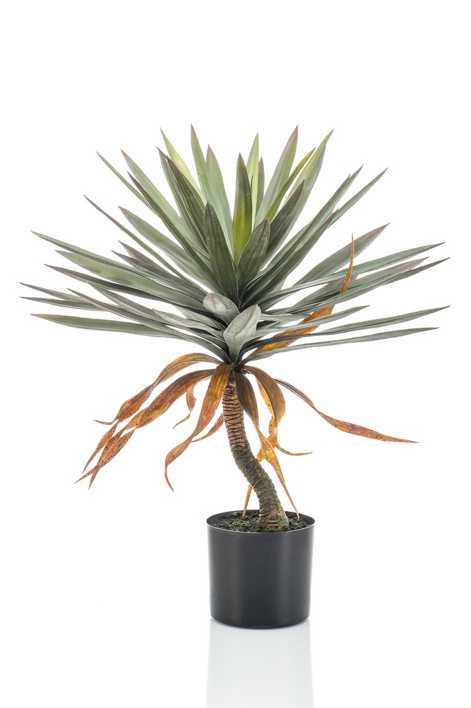 Yucca artificiel