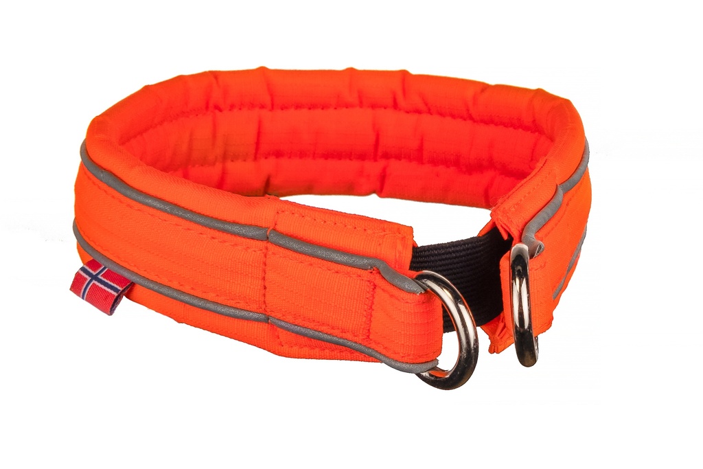 Collier Safe T60