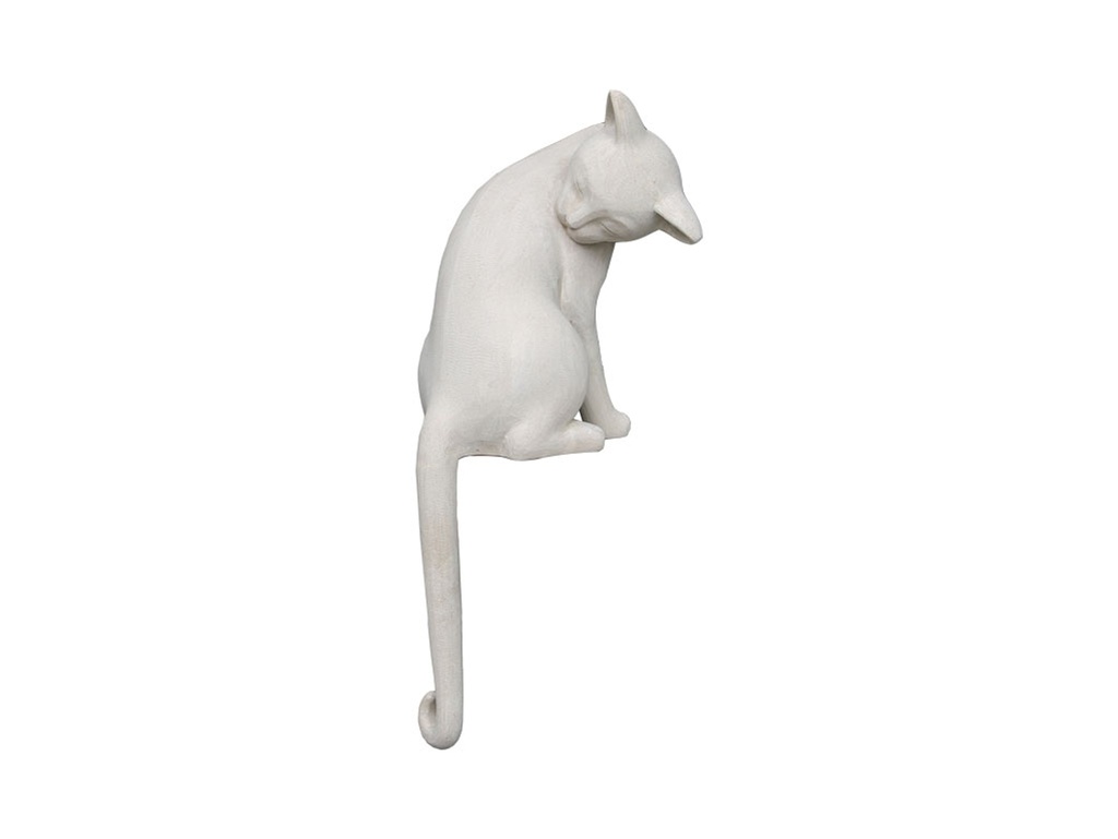 Chat Lèche 
