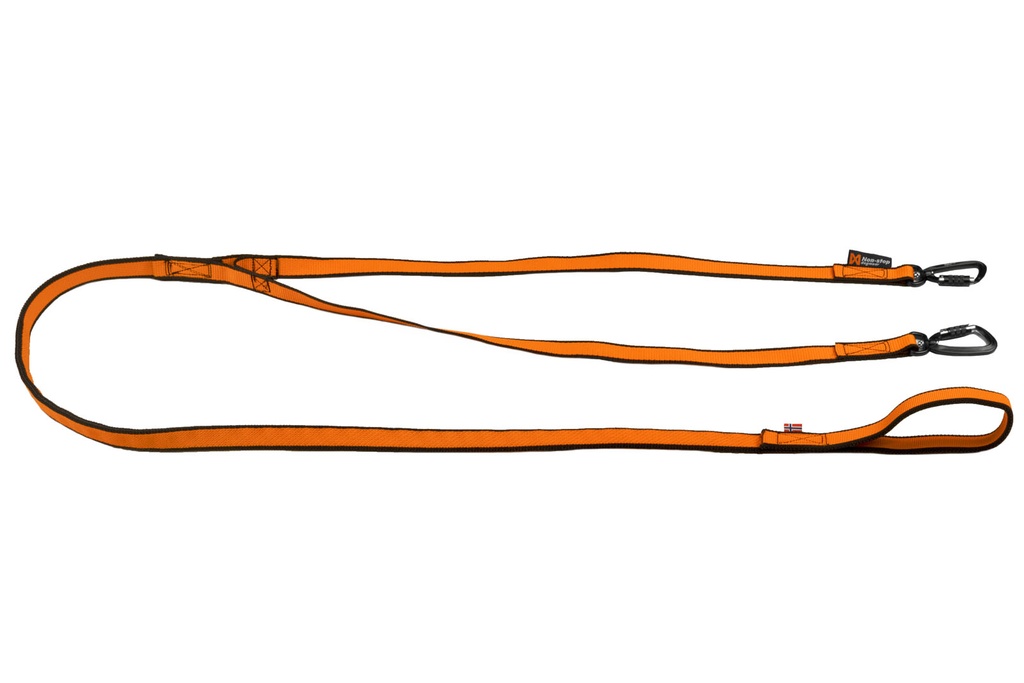 Laisse Bungee 2 chiens