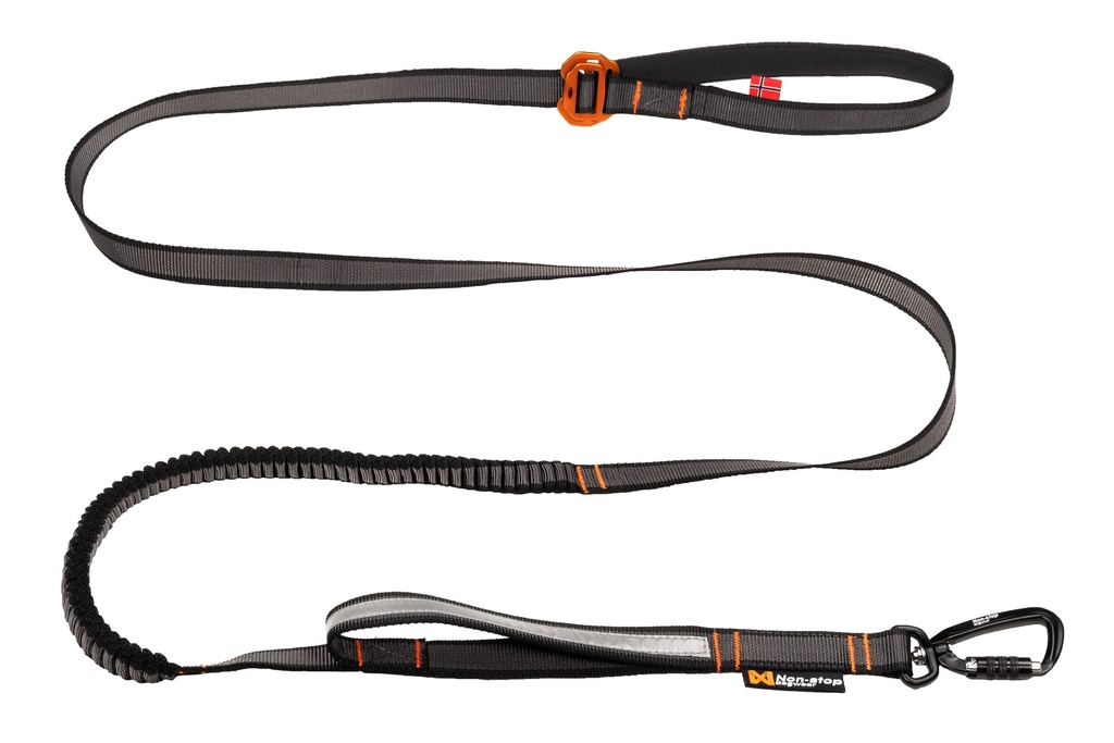 Laisse Bungee touring adjust