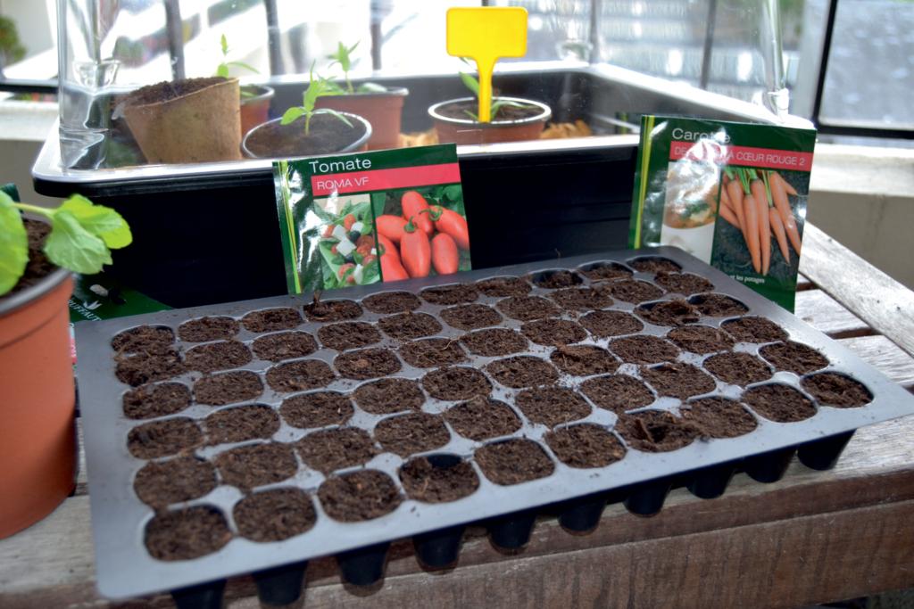 PLANTING PLATE  3 plateaux en plastique de 60 cellules  de culture