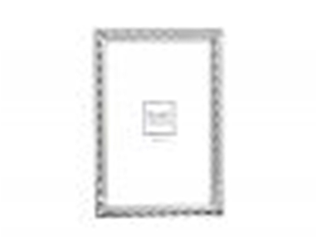 Cadre Tortillons argenté 10x15cm