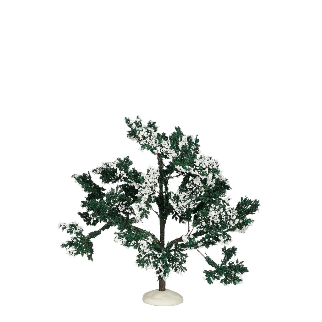 Arbre enneigé
