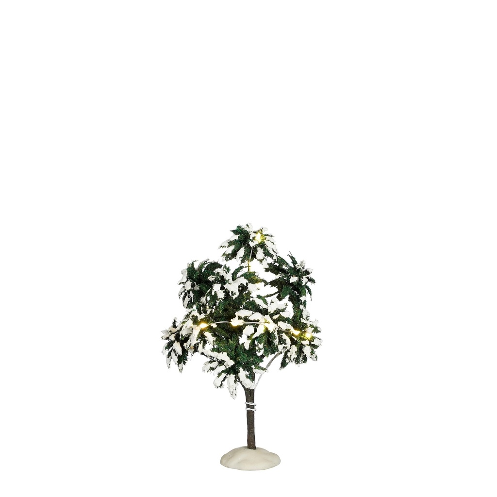Arbre enneigé lumineux