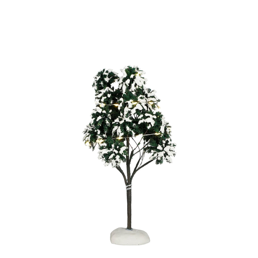 Arbre enneigé lumineux