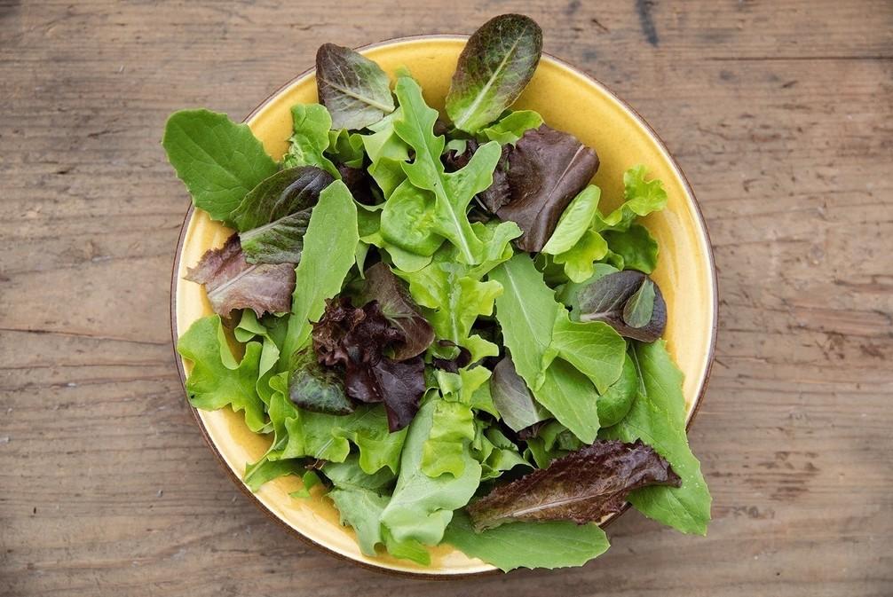 Salade/Laitue Misticanza (Espèces diverses)