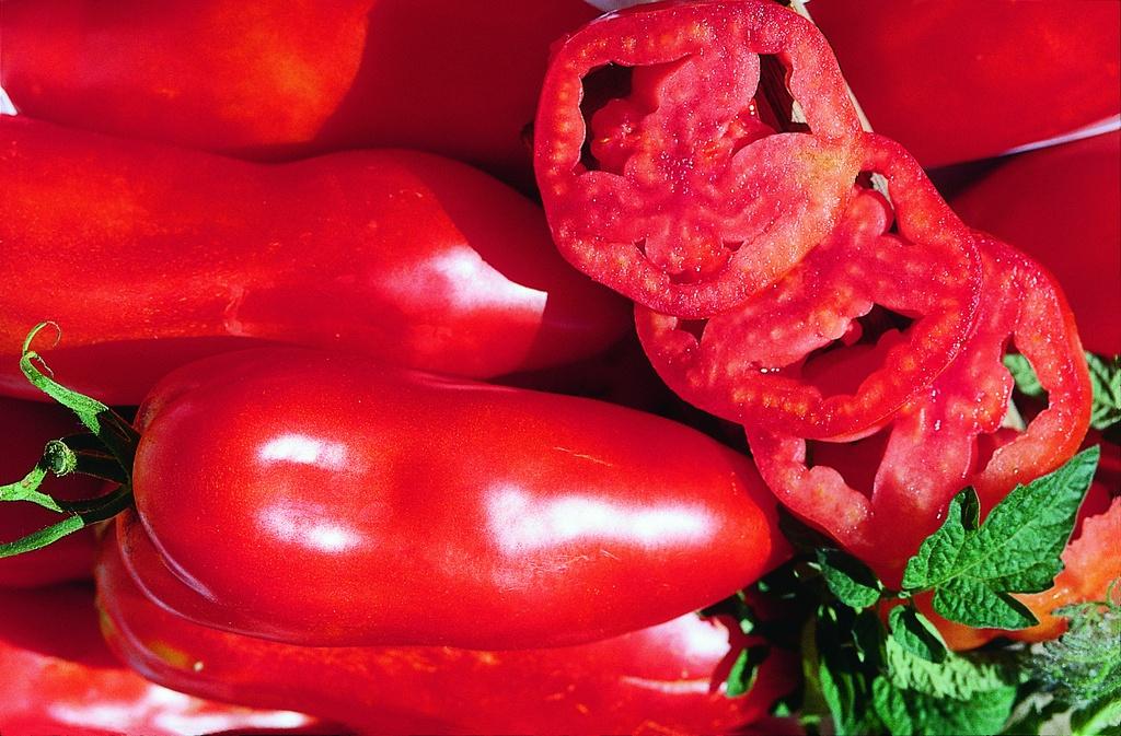 Tomates San Marzano (Type de l'île d'Elbe)