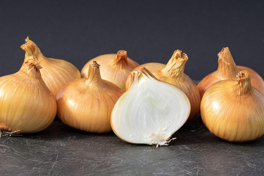 Oignons Jaune de Wädenswil Sélection Z