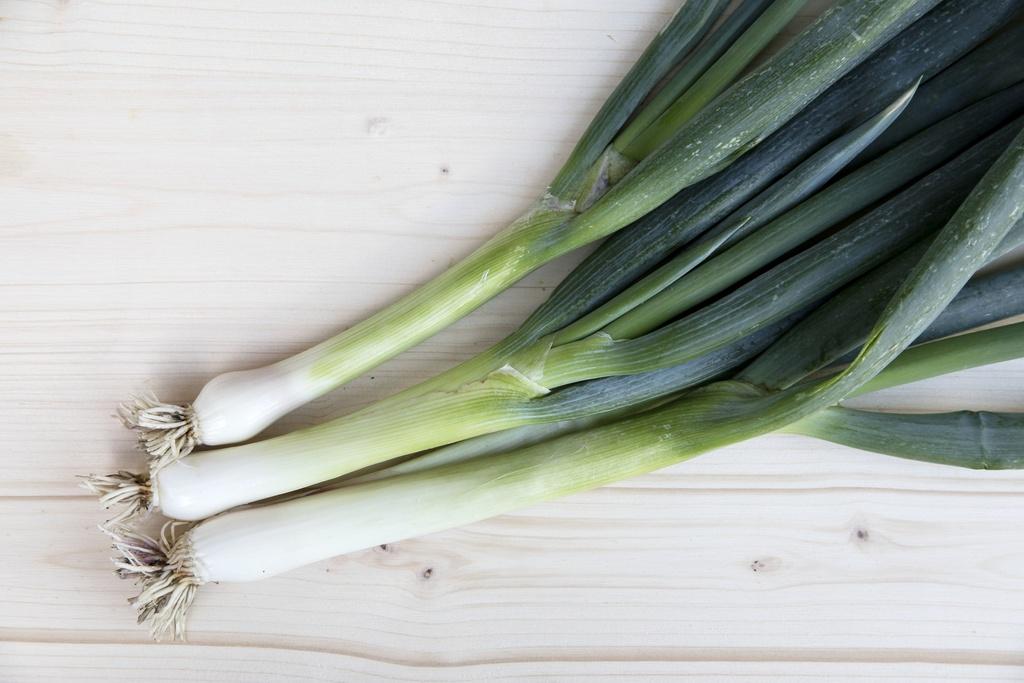 Oignons Tige blanche (plante hivernante)