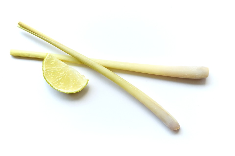 Citronnelle