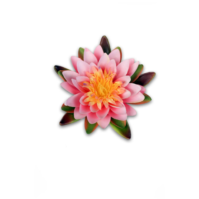 Nénuphar rose flottant S