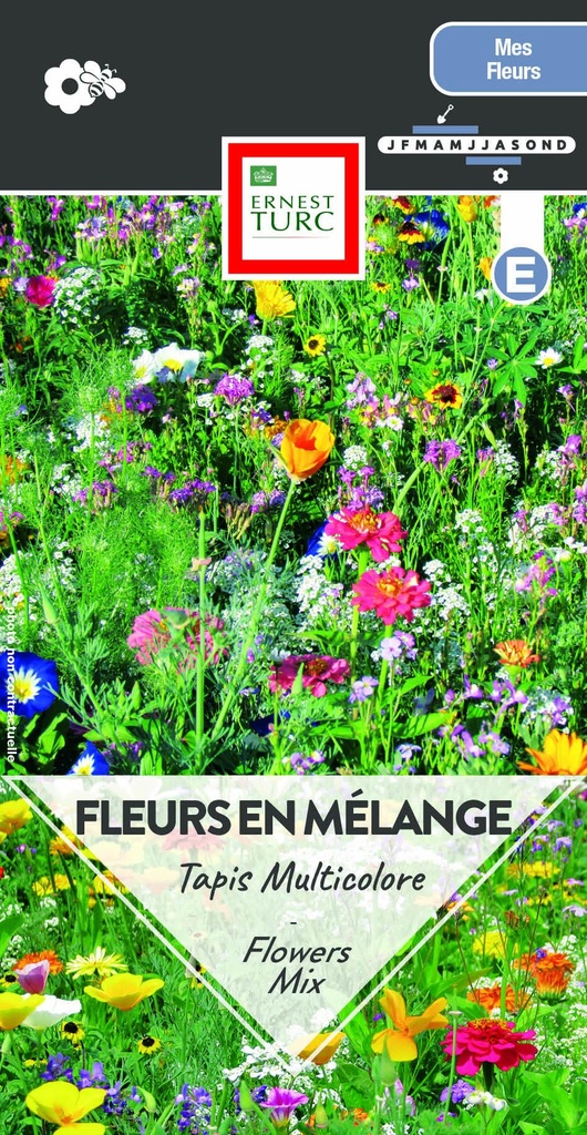 Assortiment Tapis Multicolore