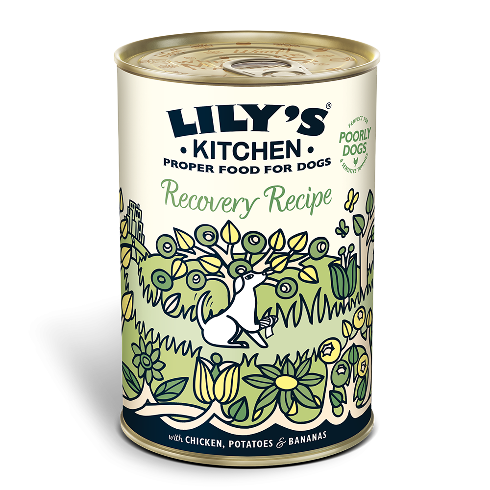 Lily's dog Adult Recovery Recipe 400g