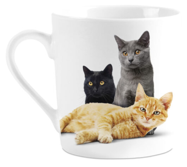 Mug PG I love Chats